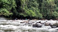 IMG-20210619-WA0006