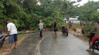 IMG-20210902-WA0004