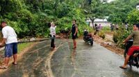 IMG-20210902-WA0005
