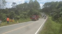 IMG-20220329-WA0041