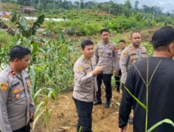 KARO SDM KALTARA